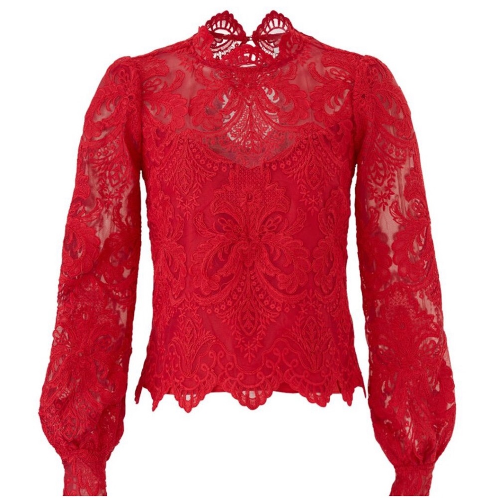 SAYLOR Norma Long Sleeve Semi Sheer Lace Balloon Sleeve Blouse Size Medium